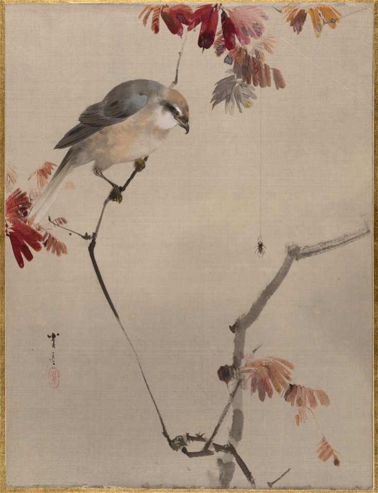 Watanabe Seitei - Bird on Branch Watching Spider - 14.76.61.43 - Metropolitan Museum of Art