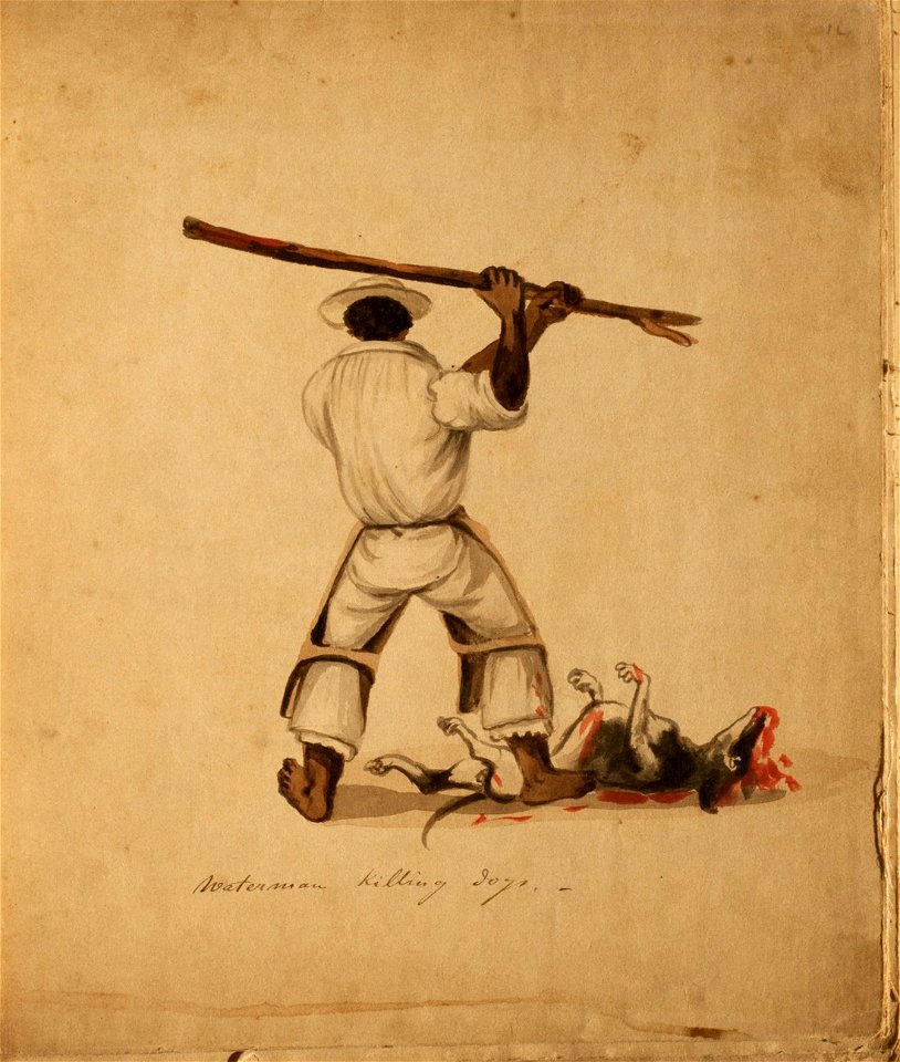 Waterman killing dogs - Pancho Fierro