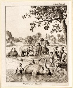 Wassching der elefanten, objectnr A 19938