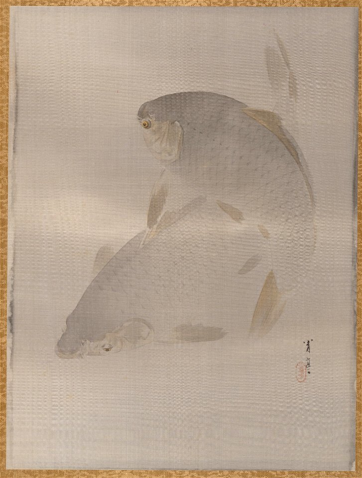 Watanabe Seitei - Carp swimming - 14.76.61.80 - Metropolitan Museum of Art