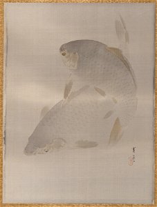 Watanabe Seitei - Carp swimming - 14.76.61.80 - Metropolitan Museum of Art