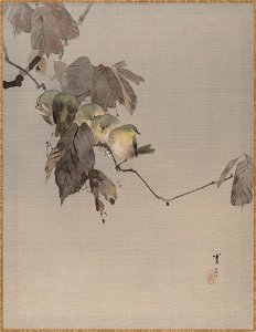 Watanabe Seitei - Birds on a Branch