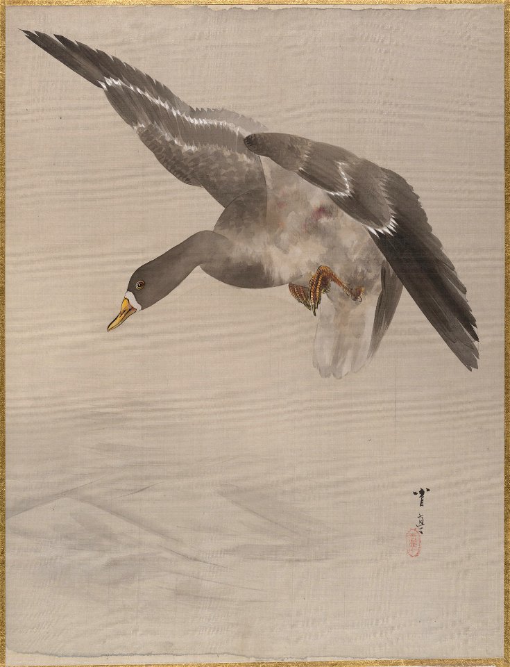 Watanabe Seitei - Duck - 14.76.61.44 - Metropolitan Museum of Art