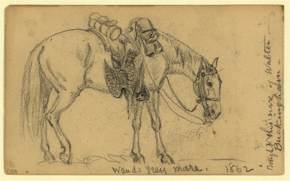 Wauds grey mare, 1862 LCCN2004661131
