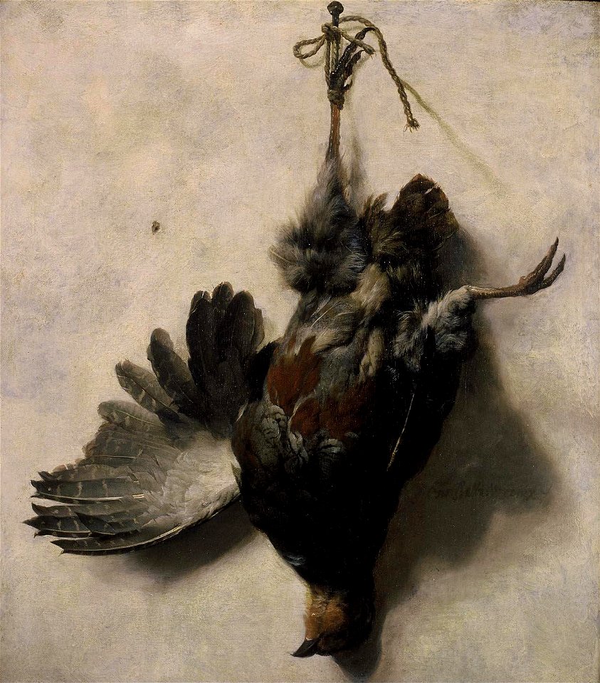 Jan Baptist Weenix - Dode patrijs