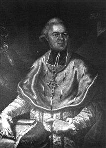 Weihbischof Johann Nepomuk von Hornstein