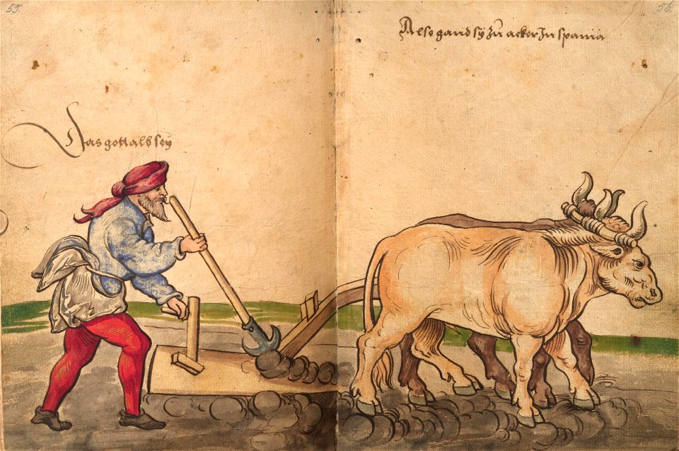 Weiditz Trachtenbuch 055-056