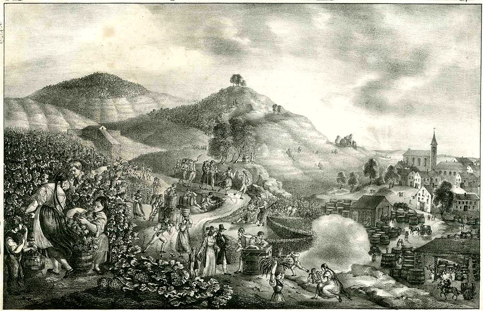 Weinlese c1830