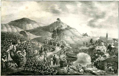 Weinlese c1830