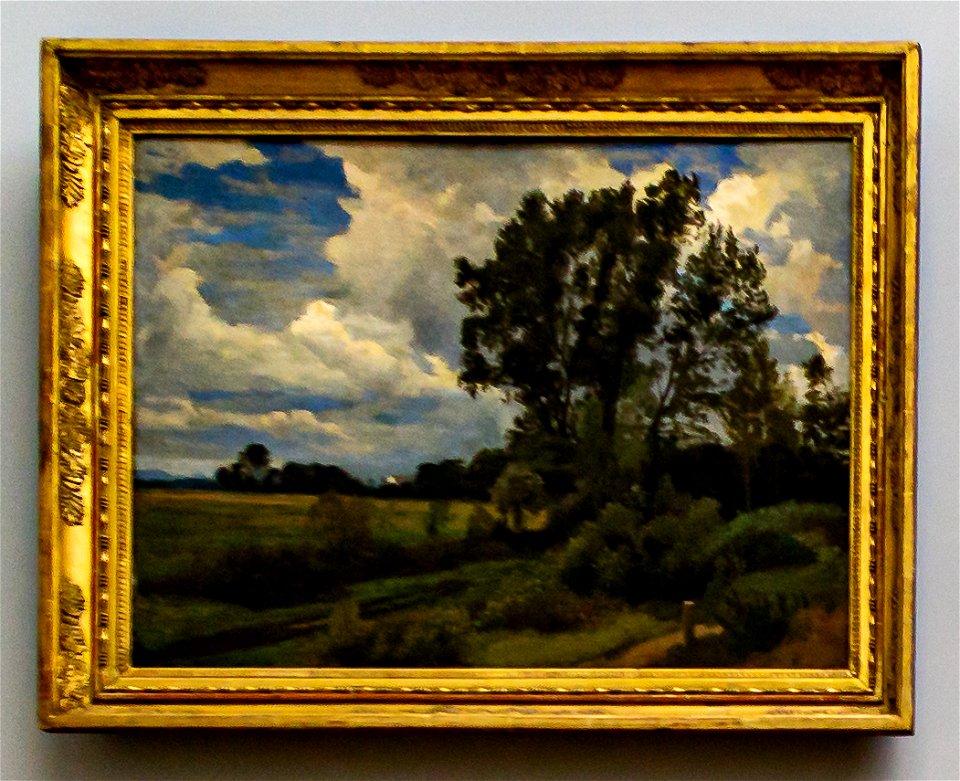 Weichberger-Baumgruppe im Tal DSC8863