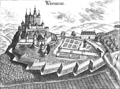 Weinberg Vischer Südseite