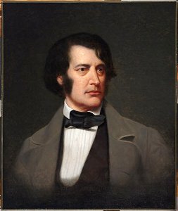 Wellman Morrison - Charles Sumner (1811-1874) - H119 - Harvard Art Museums
