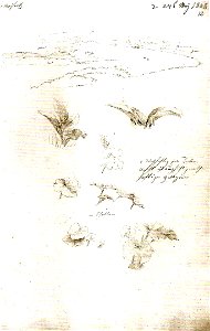 Weißeritz
