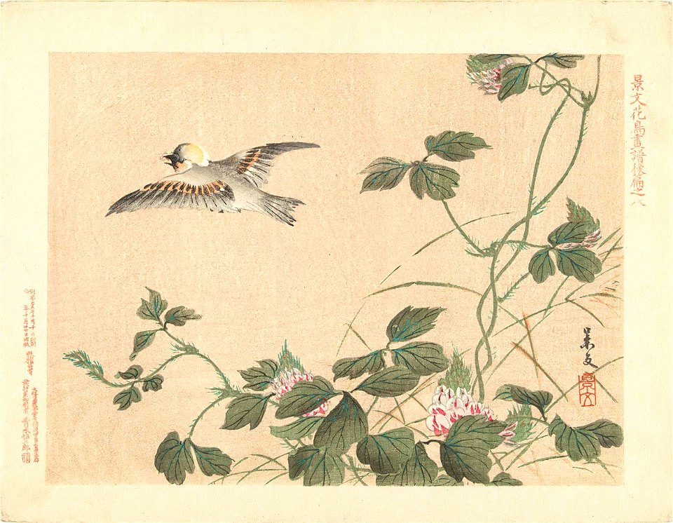 Wegvliegende vogel bij klimplant met roze bloemen