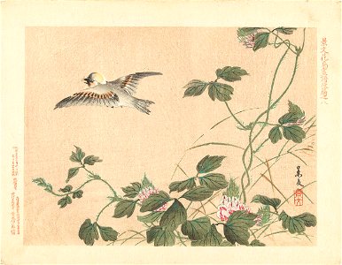 Wegvliegende vogel bij klimplant met roze bloemen