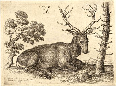 Wenceslas Hollar - A stag lying, after Dürer