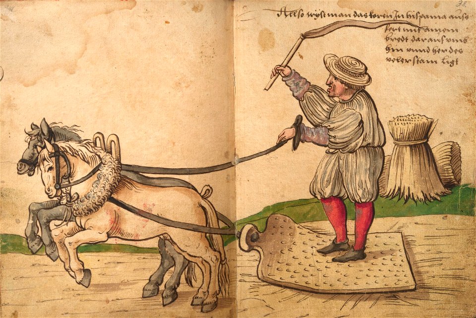 Weiditz Trachtenbuch 037-038