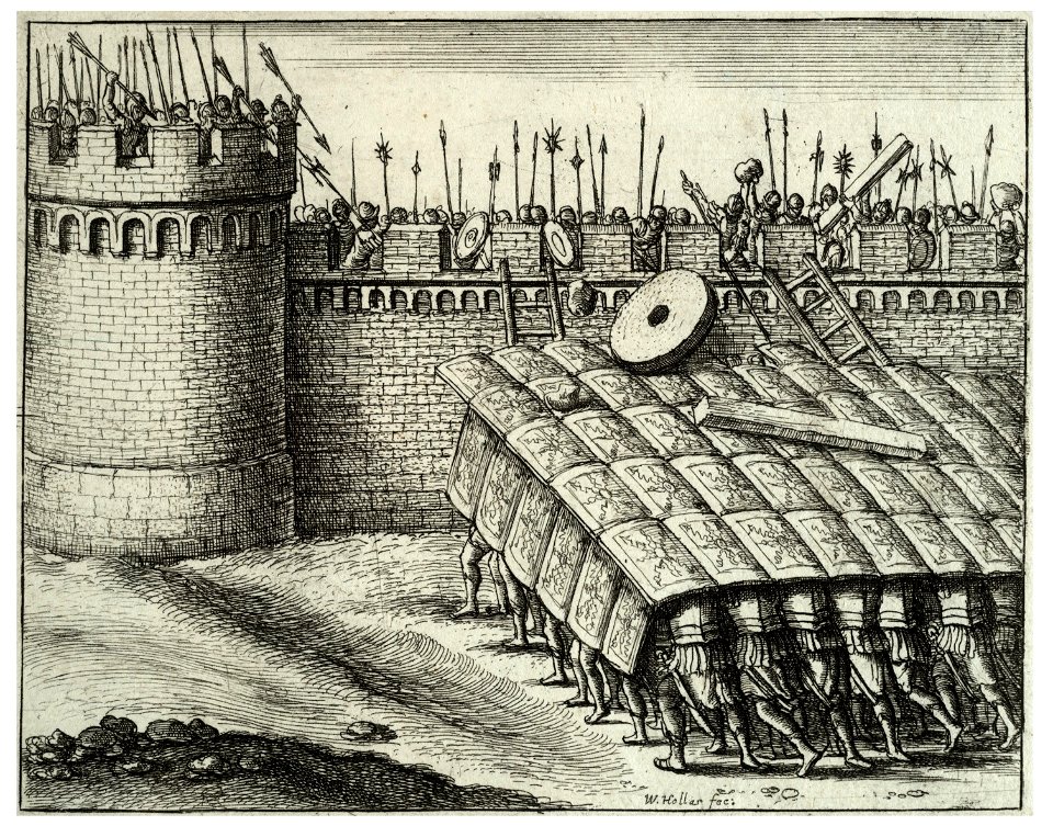Wenceslas Hollar - A testudo
