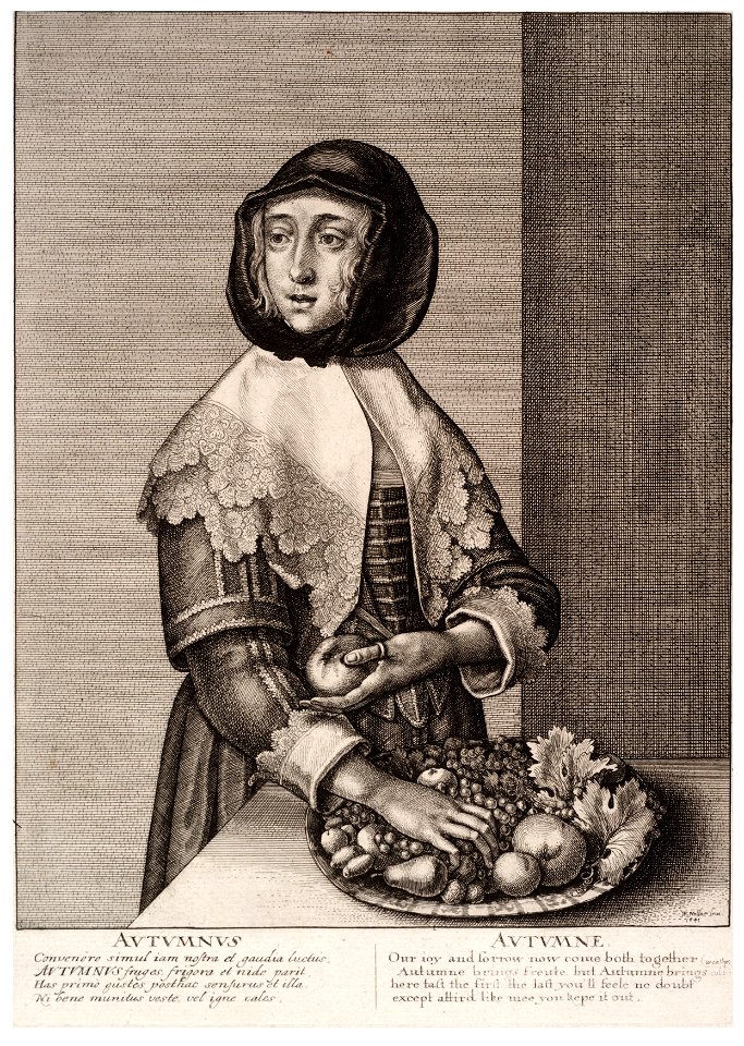 Wenceslas Hollar - Autumn (State 2)