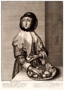 Wenceslas Hollar - Autumn (State 2)
