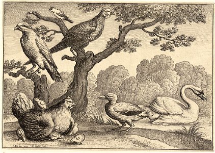 Wenceslas Hollar - A brooding hen. Free illustration for personal and commercial use.