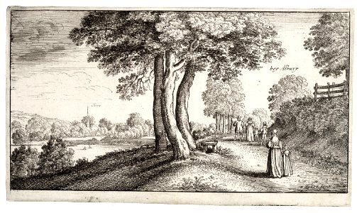Wenceslas Hollar - Albury