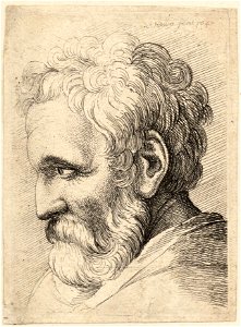 Wenceslas Hollar - Bearded old man