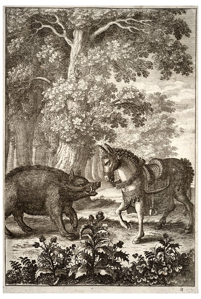 Wenceslas Hollar - Boar and ass