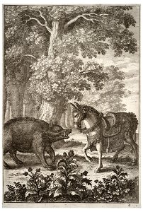 Wenceslas Hollar - Boar and ass