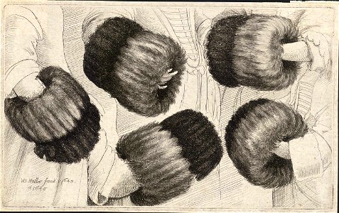 Wenceslas Hollar - A muff in five views (State 1)