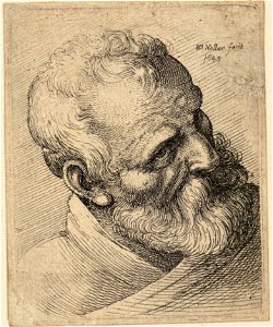 Wenceslas Hollar - Bearded old man with a wart. Free illustration for personal and commercial use.