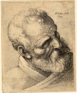 Wenceslas Hollar - Bearded old man with a wart