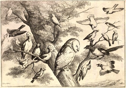 Wenceslas Hollar - Birds mobbing an owl (State 1). Free illustration for personal and commercial use.
