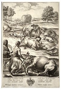 Wenceslas Hollar - Cattle plague (State 3). Free illustration for personal and commercial use.