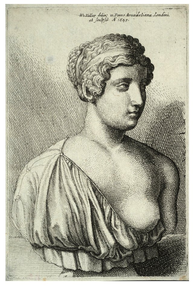 Wenceslas Hollar - Antique bust of a woman (State 1)