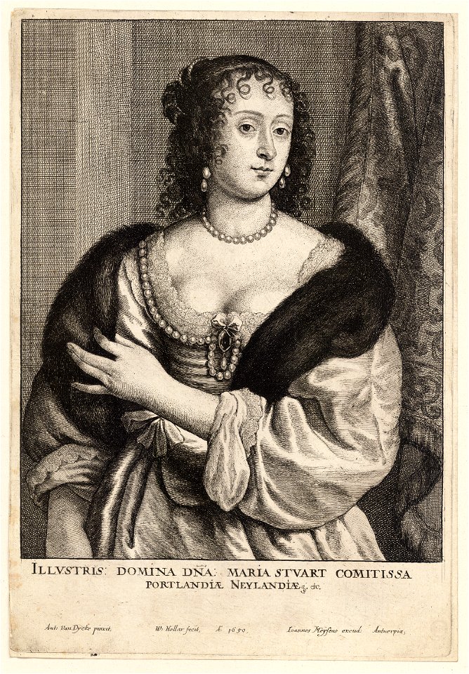 Wenceslas Hollar - Countess of Portland
