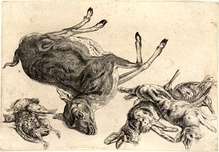 Wenceslas Hollar - A dead deer and dead game. Free illustration for personal and commercial use.