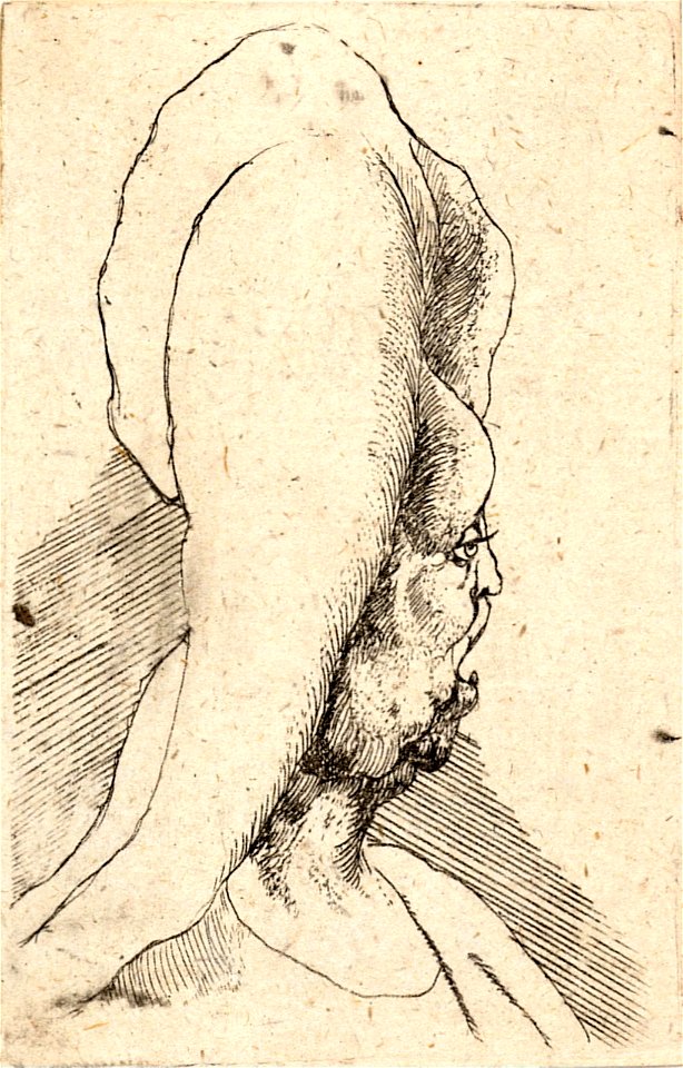 Wenceslas Hollar - Bust of an old woman