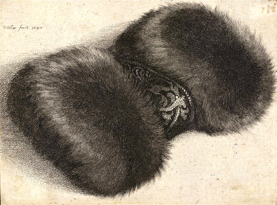 Wenceslas Hollar - Fur muff with brocade