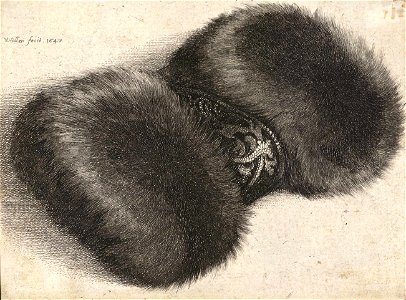 Wenceslas Hollar - Fur muff with brocade