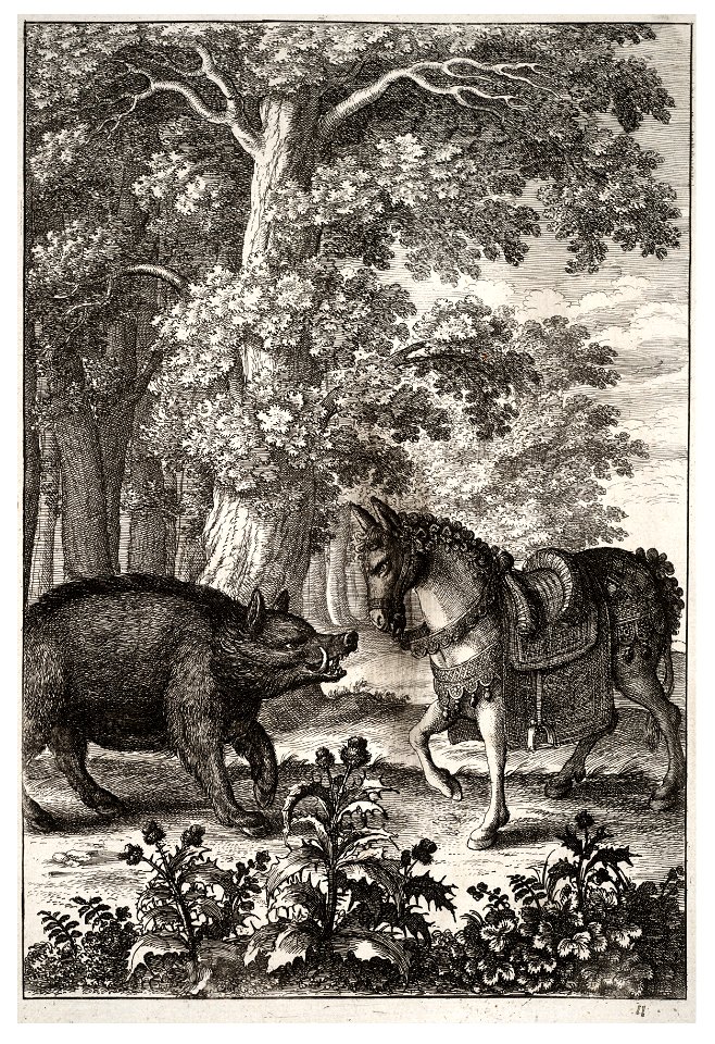 Wenceslas Hollar - Boar and ass 2