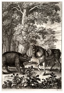 Wenceslas Hollar - Boar and ass 2. Free illustration for personal and commercial use.