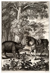 Wenceslas Hollar - Boar and ass 2