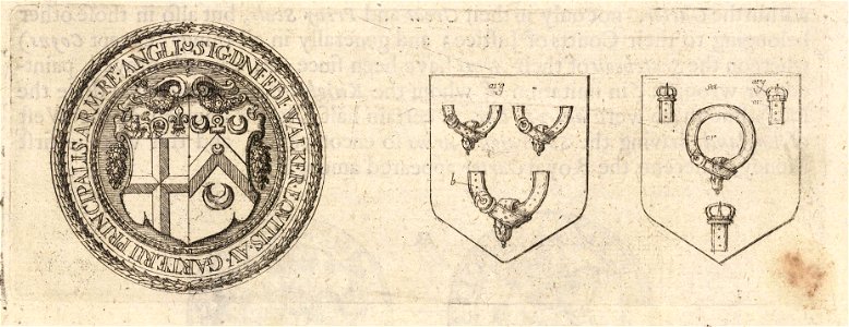 Wenceslas Hollar - A seal and two shields with the Garter (State 2). Free illustration for personal and commercial use.