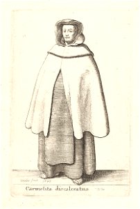 Wenceslas Hollar - Carmelita discalceatus
