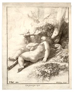 Wenceslas Hollar - Infant Hercules asleep, after Parmegiano (State 3)