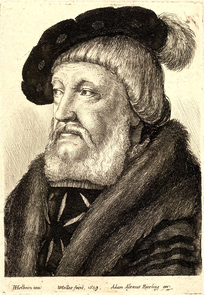 Wenceslas Hollar - Dr Butts (.)
