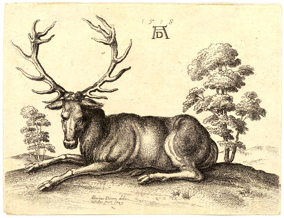 Wenceslas Hollar - A stag lying, after Dürer (State 2)