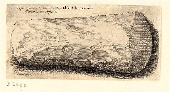 Wenceslas Hollar - Flint axe-head