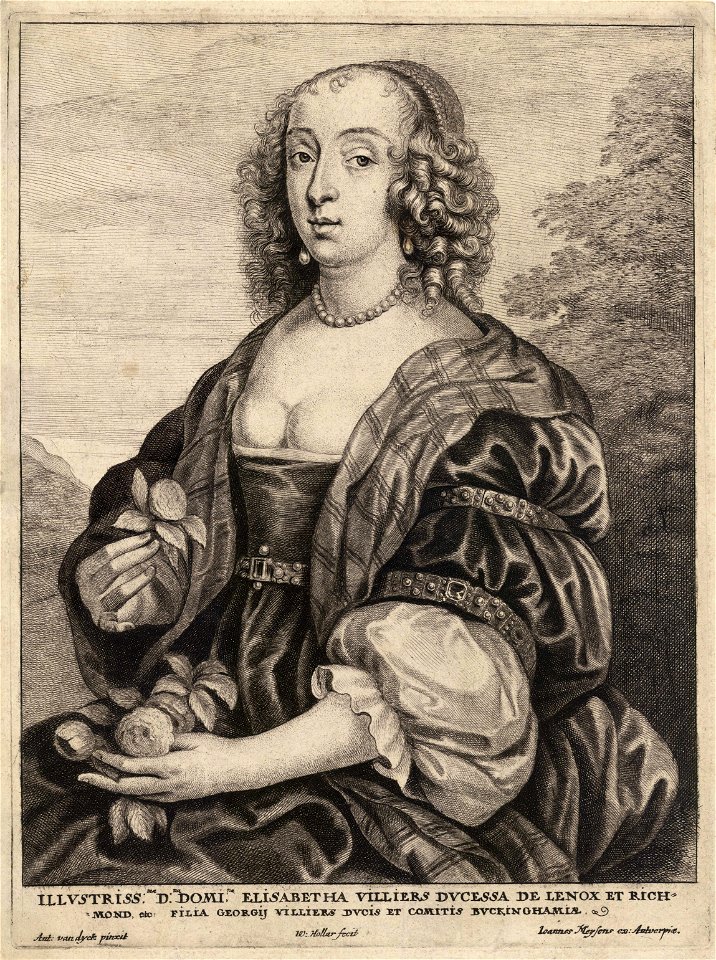 Wenceslas Hollar - Duchess of Lennox, after van Dyck (State 4)